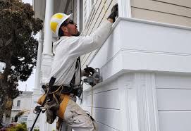 Best Siding for Multi-Family Homes  in Lexington, MN